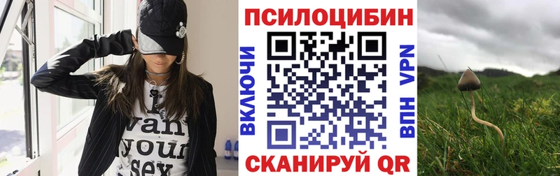 Псилоцибиновые грибы мицелий  KRAKEN ТОР  Гаджиево 